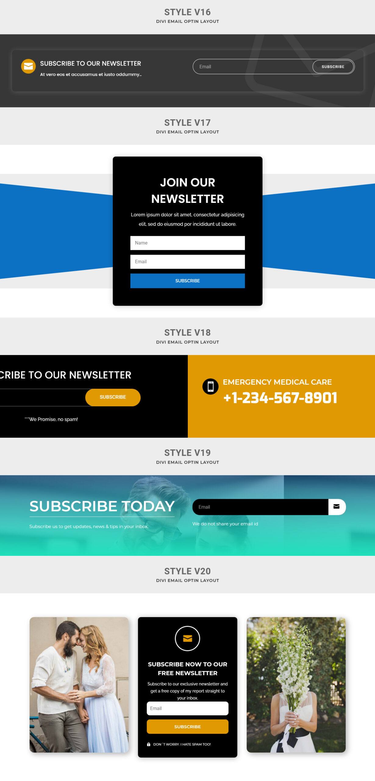 Divi Newsletter Sections Pack