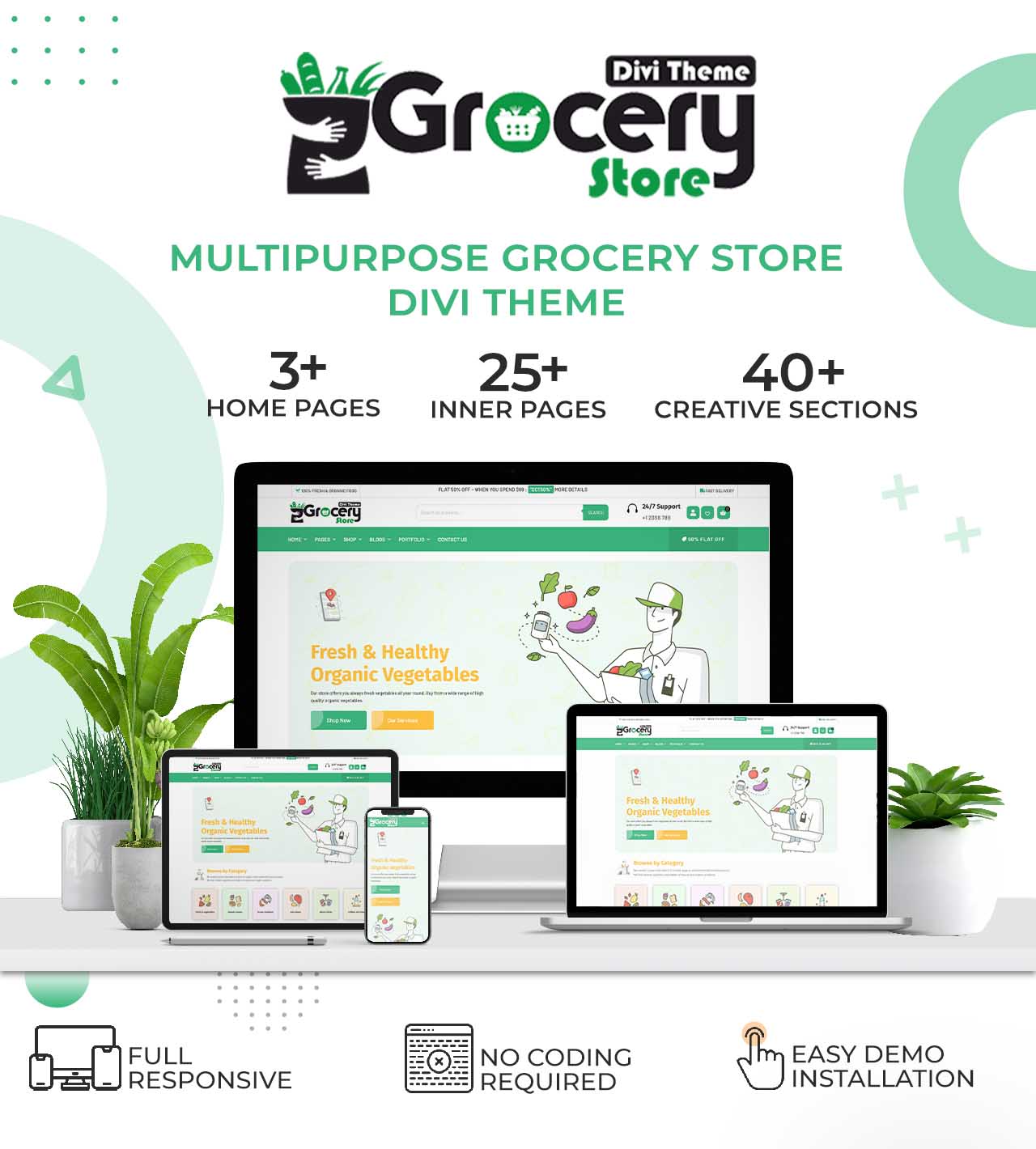 Grocery Store Divi WooCommerce Theme intro Pages